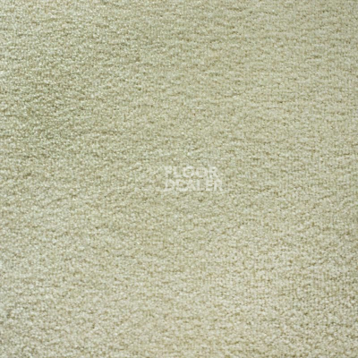 Ковролин Зартекс Sense Highlights (Soft carpet) Sense Highlights 019 Топлёное Молоко фото 1 | FLOORDEALER